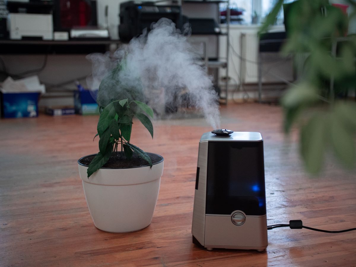 air purifier with plant behind