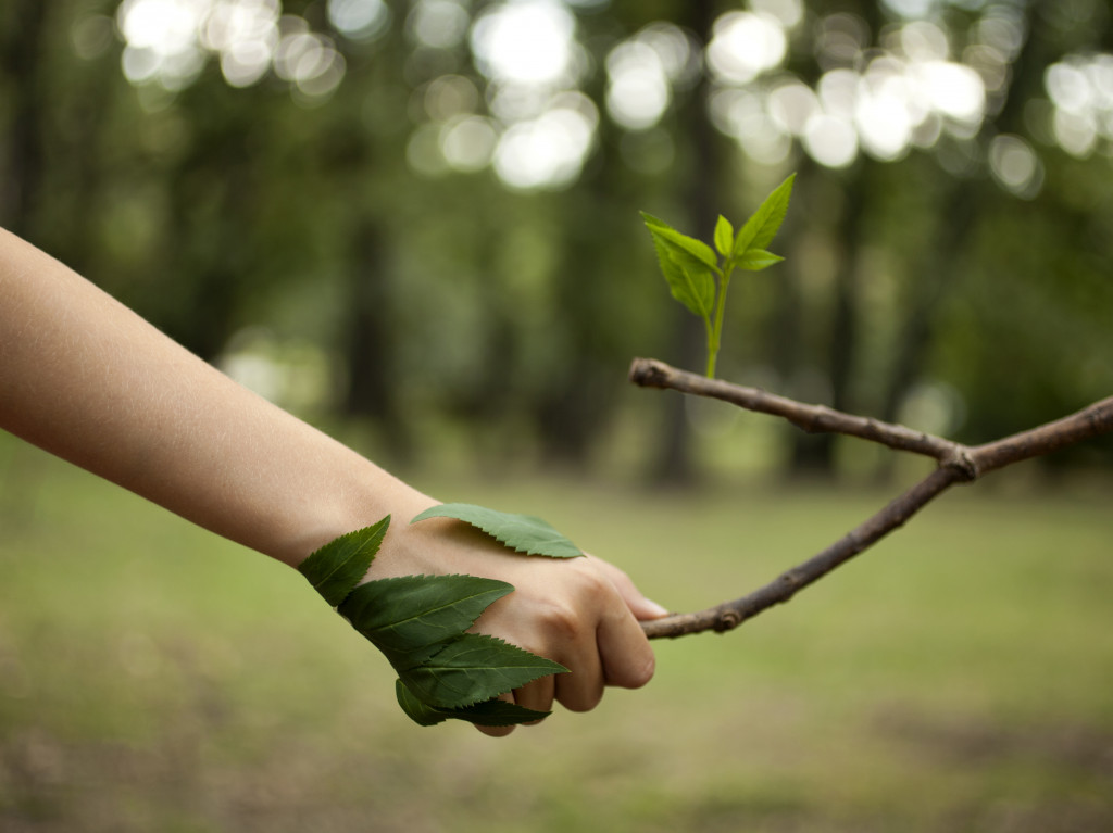 Environment concept. Handshake between human hand and tree.