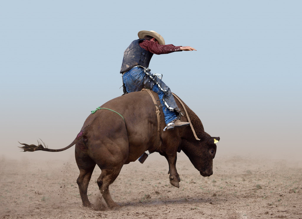 A bull rider wearing a cowboy outfit while riding a bull
