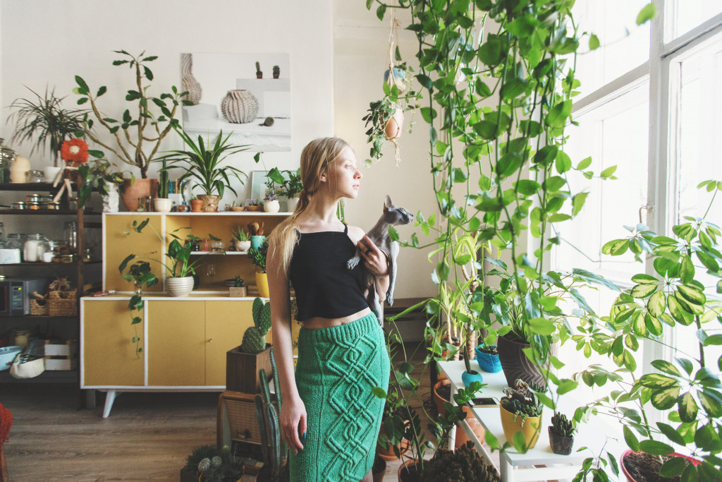 Indoor plants and a woman